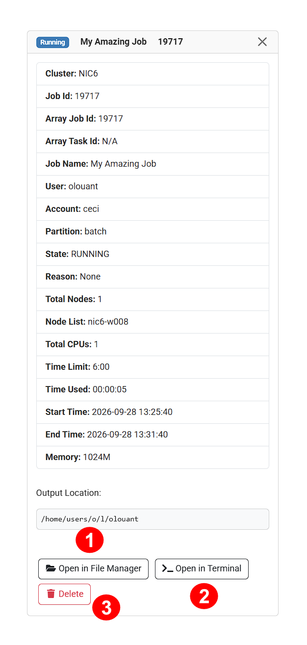 Job details panel
